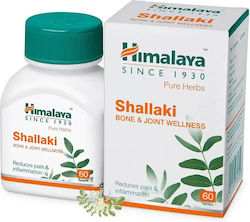 Himalaya Wellness Shallaki 60 Tabletten