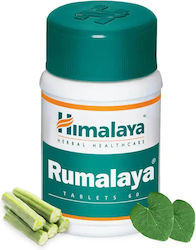 Himalaya Wellness Rumalaya 60 Таблетки