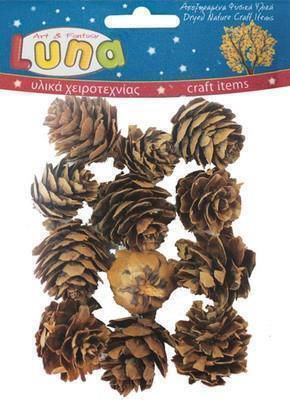 Diakakis Christmas Decorative Pine 12 Pieces