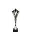 Tryumf Silber Trophäe Für Sportpreise