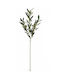 Κλαδι Ελιας Ελιες 0x0x85cm Μονόχρωμο Evergreens