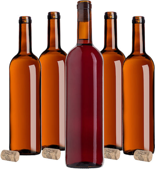 10 Pcs Glass Bottles Wine Liqueur Wine Bottle 0.75l 750ml + Stoppers