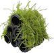 Java Moss Shrimp Shelter 10x7x6cm Φπ