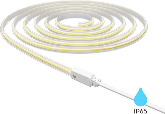 Braytron Αδιάβροχη Ταινία LED 220V Θερμό Λευκό Φως Τύπου COB