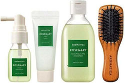 Aromatica Rosemary Scalp Scaling Trial Kit Mini Wooden Hair Brush 1 Set 4 Items Aromatica Rosemary Scalp Scaling Trial Kit Mini Wooden Hair Brush 1 Set 4 Items