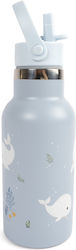 Filibabba Kids Water Bottle 350ml Gray