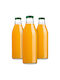 Kadax Glass Water Bottle With Screw Lid Transparent 1000ml