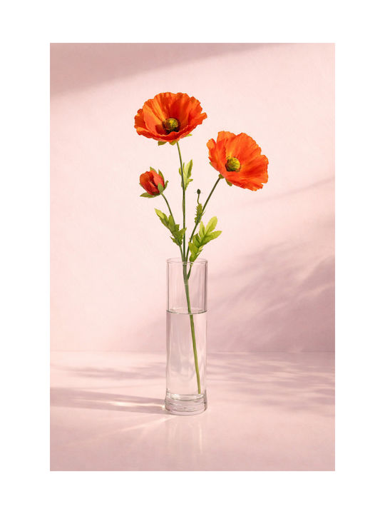 Poppy Flower Orange Stem 0x0x71cm Monochrome Evergreens