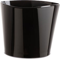 Goldplast Simple Black Champagner