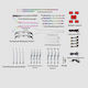 Ambient Lights Dedicated Audi A6 C8 2018-2023 Rgb Acrylic 33 In 1 Dynamic Symphony Effect Bluetooth App Control