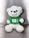 Plush Teddy Bear “PAO” Panathinaikos