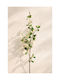 Κλαδι Λευκα Ανθη Μηλιας 0x0x126cm Μονόχρωμο Evergreens