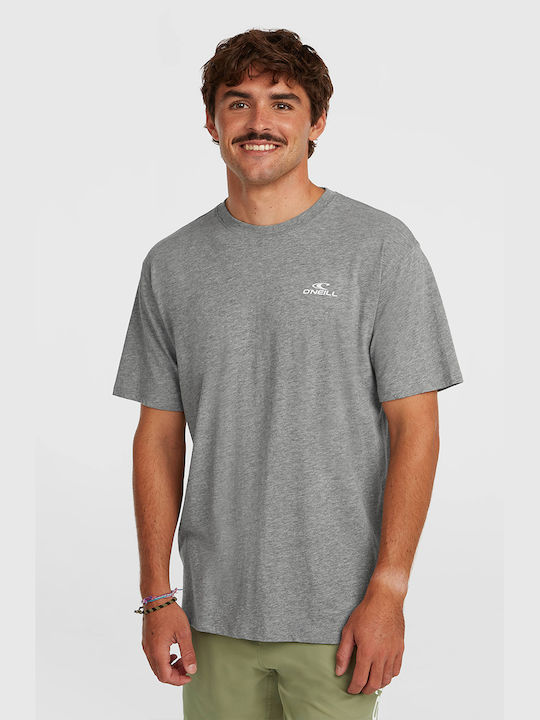 O'Neill T-shirt Gry 2850371-18013