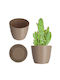 Kadax Ghiveci De Flori Din Plastic Bej 19x19cm