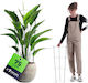 Suport Inelar Plante Flori 75 Cm Araci Metalici