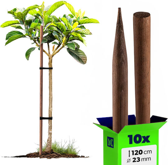 Wooden Stakes Impregnated 120cm Support Rod Stick 10pcs Ø 23 Mm