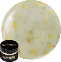 Uv Gel Nail Construction Revoflex Silk Petal Lu...