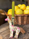Easter Candle Handmade Olive Fabric Giraffe Made of Beeswax