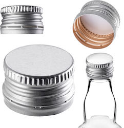 Bottle Caps Fi28 Bottle Caps Bottles Cap 10 Pcs Silver Caps