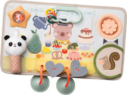 Taf Toys Peek For 6+ Months