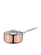 Spring Culinox Κατσαρολάκι Γάλακτος 2.7lt /