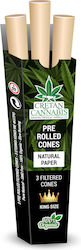 Cretan Cannabis Μηχανάκι Cretan Cannabis Μηχανάκι