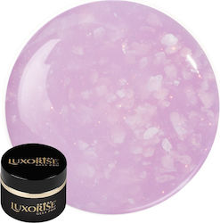 Uv Gel Nail Construction Revoflex Blooming Grac...