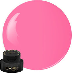 Gel UV Nagelkunst Babyboomer Luxorise Kissen Om...