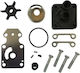 Yamaha Impeller Kit 9.9-20hp