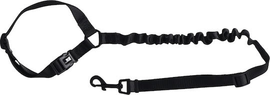 Flamingo Dog Leash/Lead Strap in Black Colour