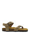 Zomba Afelpado Women's Sandals Tabac Brown