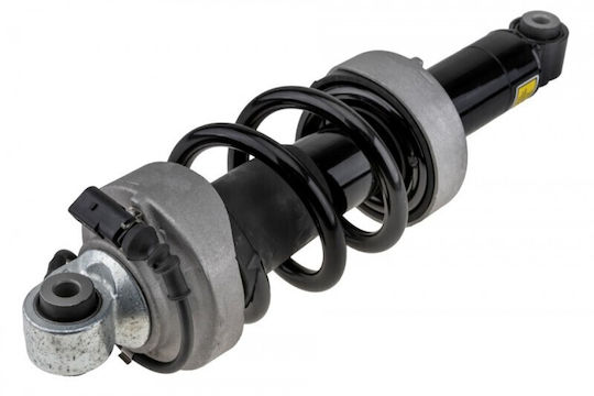 Амортисьор Audi R8 2007-2015 4.2l Купе Audi R8 2007-2015 5.2l Купе Audi R8 Spyder 2010-2015 4.2l Кабриолет