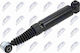 Amortizor Peugeot 206 Cc 2000-2008 1.6l Decapotabil Peugeot 206 Cc 2000-2008 2.0l Decapotabil Peugeot 206 Hatchback 1998-2012 1.6l Hatchback