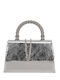 Women's Bag Handbag Crossbody Silver