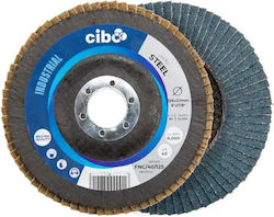 Cibo Grinding Disc 125x22mm N60 Fnc Metal