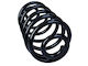 Suspension Spring Mercedes-Benz Citan Mixto 415 2012 Left or Right Ra5263
