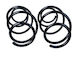 Front Suspension Spring Nissan Juke F15 10 Ra1164
