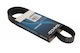Curea Polialternatoare 7pk1095