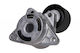 Τεντωτήρας Ιμάντα Renault Σφήνας 2,5dci Master Master 55610mg Τροχαλία Ts-103