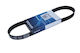 Curea Elastică Poli 6pk799 04l903137