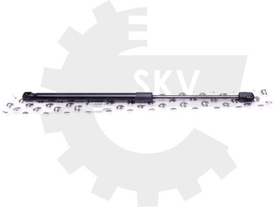 SKV Kofferraum-Schock Für Citroen C3 I 8731G3 8731.G3