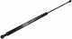 Amortizoare Portbagaj Renault Laguna 2001 Hatchback 8200003020