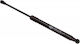 Gasdruckstoßdämpfer Für Motorhaube Kofferraum Renault Twingo II 04.08 82 00 385 560