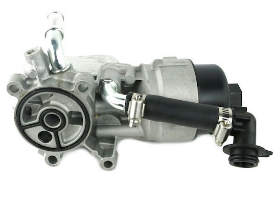 Fast Car Engine Radiator Oil for Fiat Scudo