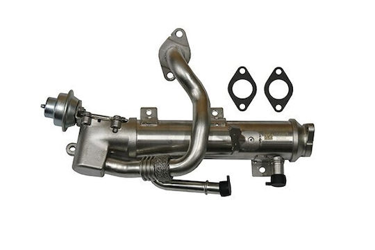 Ψυγειο Egr Audi A4 A5 A6 Q5 Seat Exeo 2.0d 03l131512ah