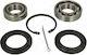 Wheel Bearings Rear T2 T3 71-90 211501283d