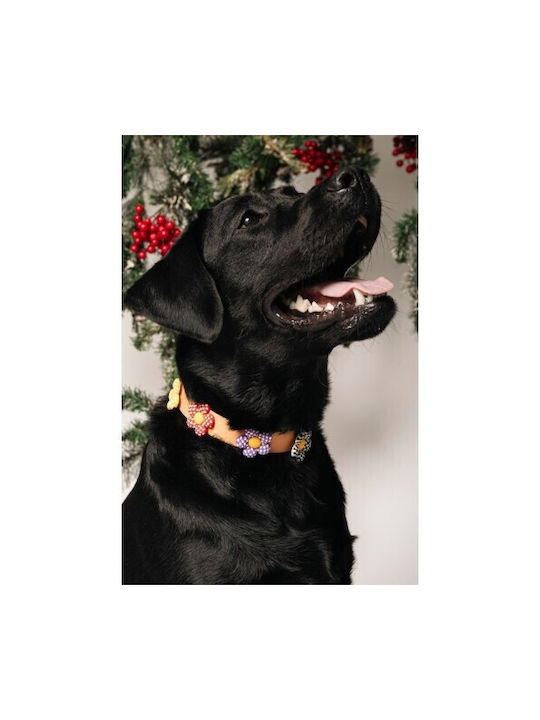 Unicord Waterproof Handmade Dog Collar Collar Crocs Charm Somen 23-29cm XSmall