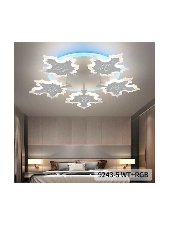 Lightplanet Deckenleuchte montieren mit Integrierter LED und Fernbedienung