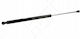 Hart Kofferraum-Schock Honda Civic 5d 94 74820st3e01