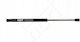Hart Kofferraum-Schock für Audi TT 98-06/roadster 8n7827552c